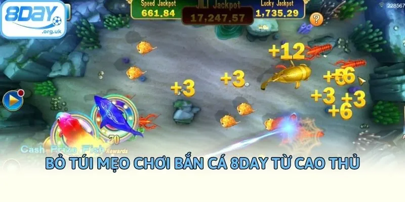 Bỏ túi mẹo chơi bắn cá 8DAY từ cao thủ