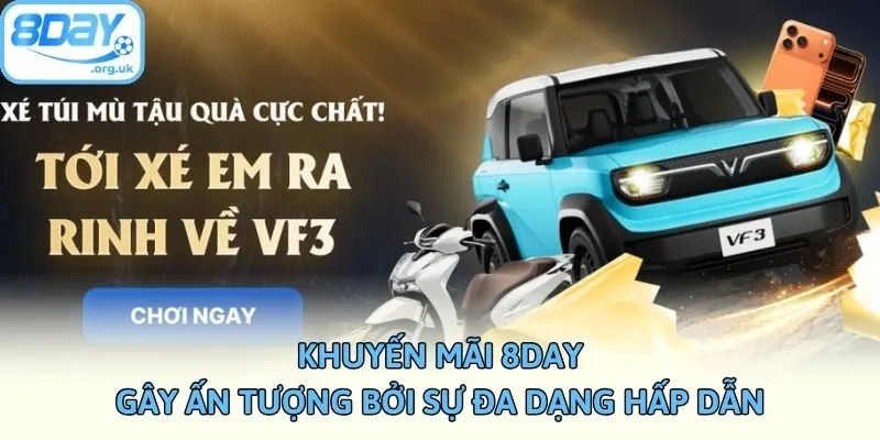 Khuyến mãi 8DAY gây ấn tượng bởi sự đa dạng hấp dẫn