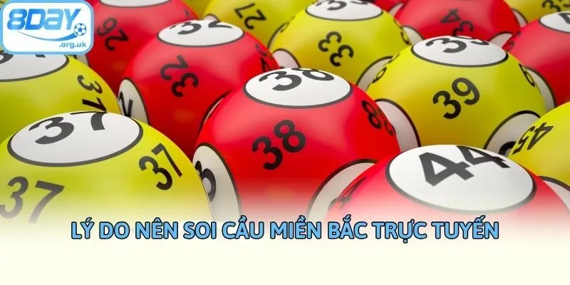 Lý do nên soi cầu miền Bắc trực tuyến