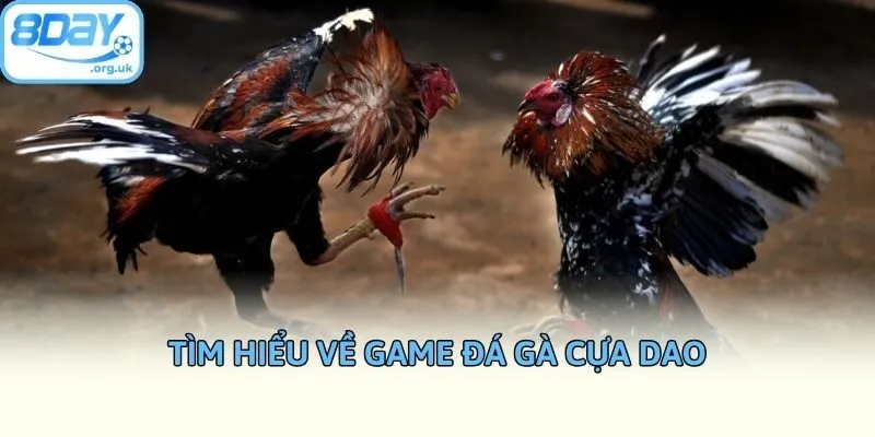 Tìm hiểu về game đá gà cựa dao